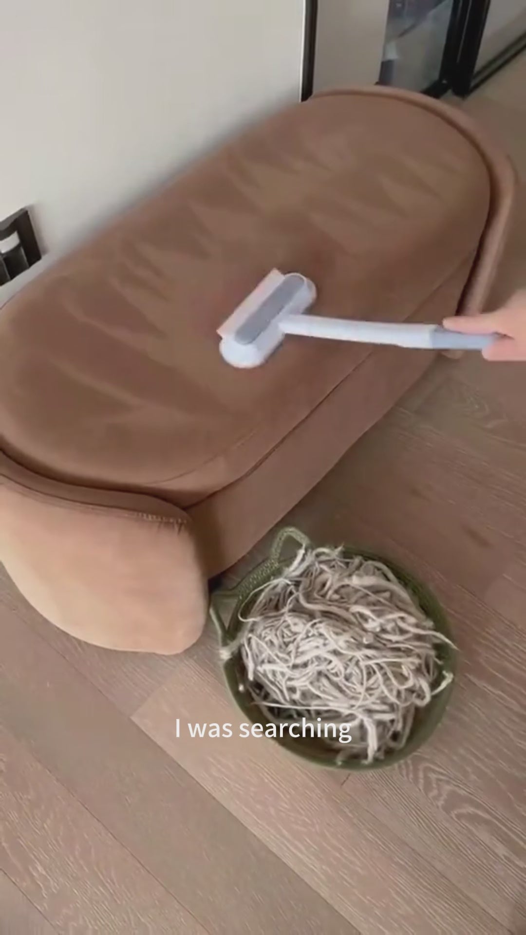 4-in-1 Reusable Pet Hair Remover Brush | FREE SHIPPING