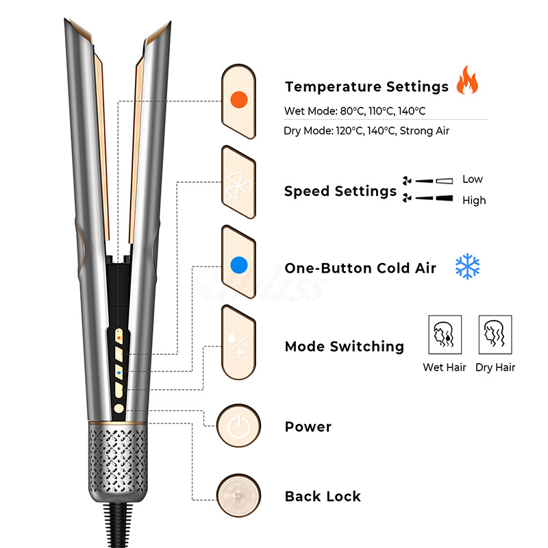 Hair Straightener,2 in 1 Wet to Dry Hair Dryer and Straightener | Waving,Curling & Styling,Flat Iron Hair Ceramic Flat Iron with LCD Display | FREE SHIPPING