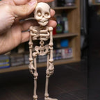 🎃 Skeleton Fridge Magnets – Poseable Halloween Decoration | 50% OFF, FREE SHIPPING