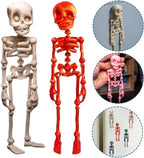 🎃 Skeleton Fridge Magnets – Poseable Halloween Decoration | 50% OFF, FREE SHIPPING