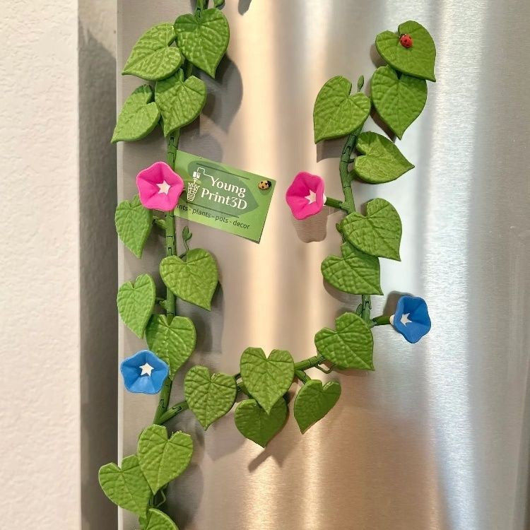 Morning Glory Fridge Magnets 🌸 – Detachable Flower Magnetic Decor