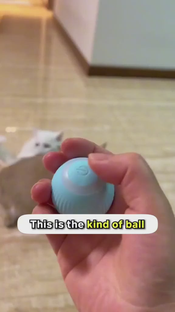 Rolling Smart Pet Ball – Interactive Fun for Cats & Dogs with 3 Play Modes